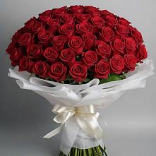 Букет 101 Красная роза Блэк Мэджик в Кириллове