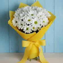 Букет цветов из:  Хризантемы в Кириллове