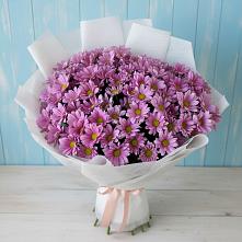 Букет цветов из:  Хризантемы в Кириллове