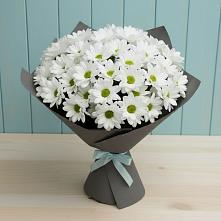 Букет цветов из:  Хризантемы #REPLACE_PRED# Кириллове