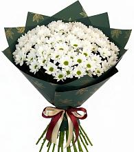 Букет цветов из:  Хризантемы в Кириллове