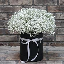 Цветочная композиция из Гипсофила в шляпной коробке #REPLACE_PRED# Кириллове