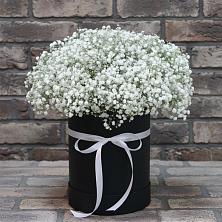 Цветочная композиция из Гипсофила в шляпной коробке в Кириллове
