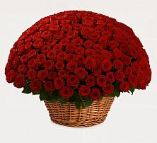 Премиум букет из: Розы в Кириллове