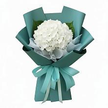 Букет цветов из:  Гортензия в Кириллове